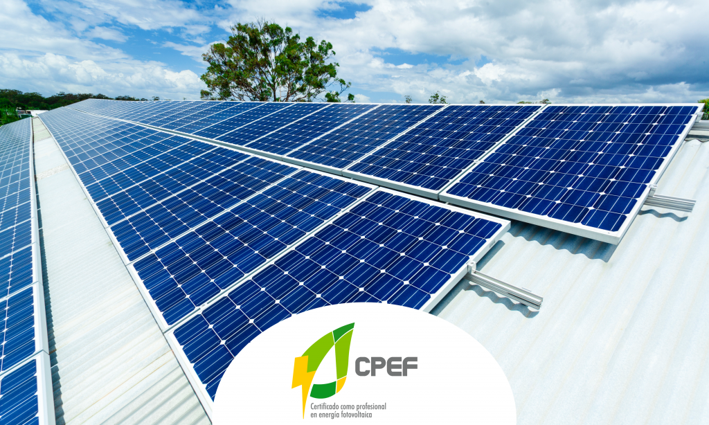 CPEF.ORG.MX