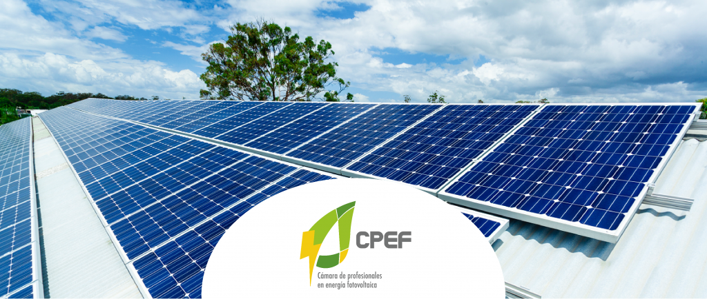 CPEF.ORG.MX
