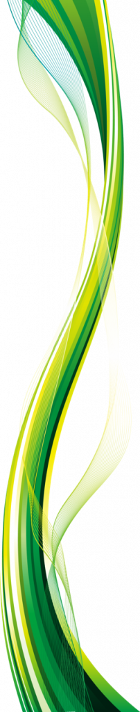 CPEF.ORG.MX